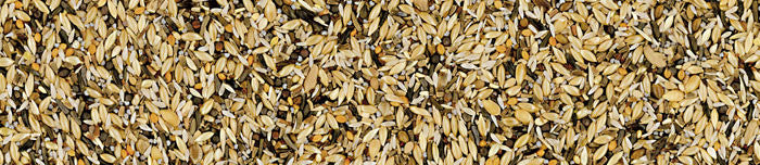Manitoba Spinus & Spinus Siskin Bird 800G