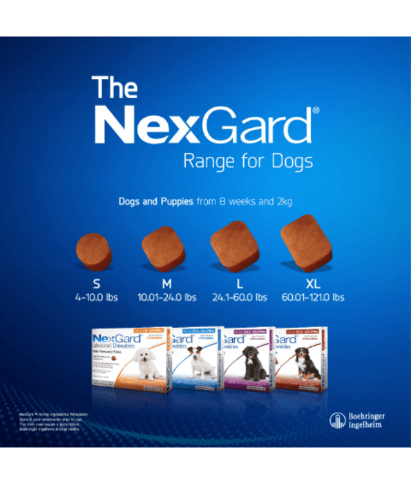 NexGard Afoxolaner dog tablet 2-4 kg