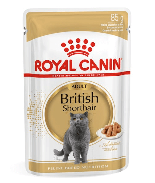 Royal Canin British Shorthair Wet Cat Food in Gravy