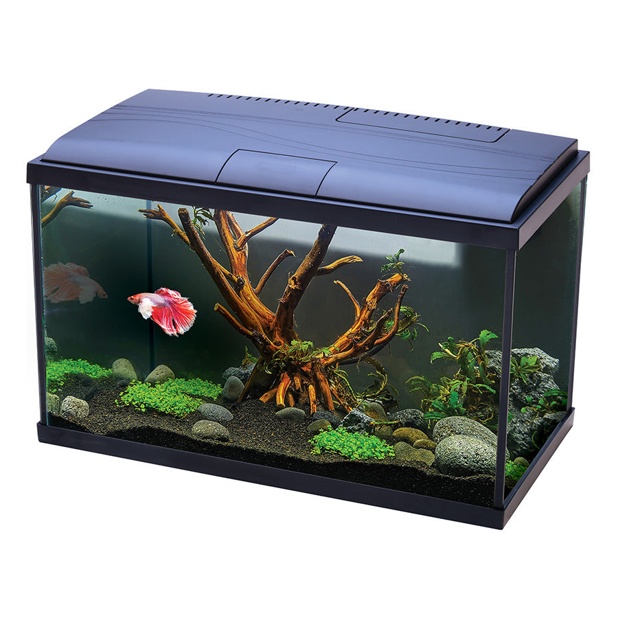 Fish Aquariums