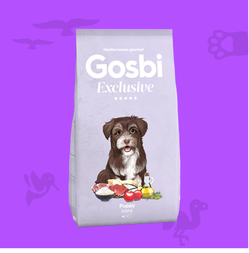 Dog Dry Food