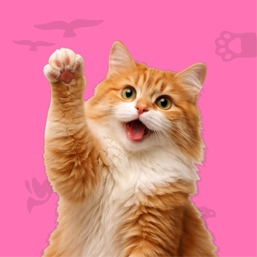 Cats & Kittens