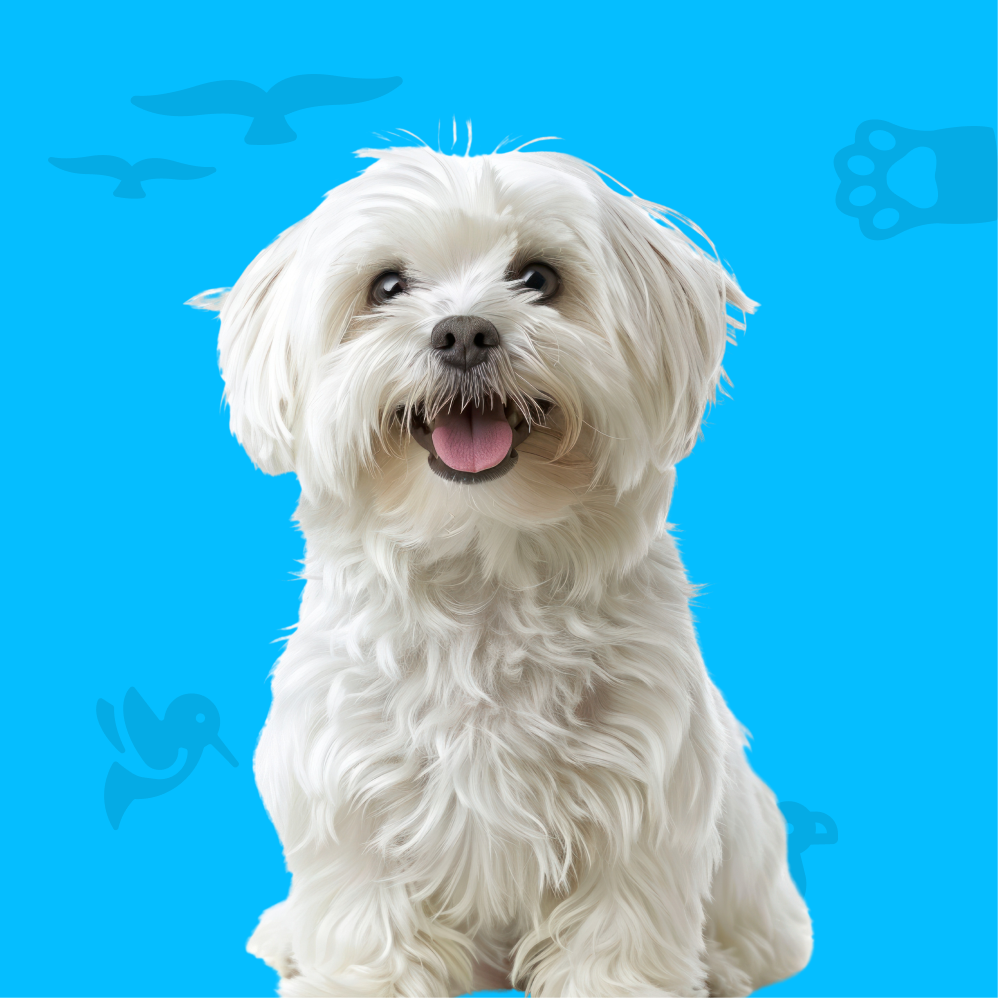 Dogs & Puppies