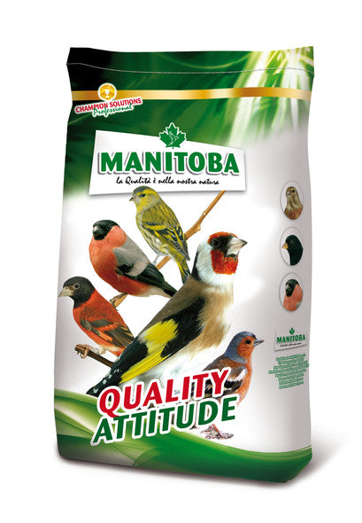 Manitoba Cardellino 3000 Conf. Da 800G