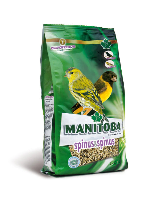 Manitoba Spinus & Spinus Siskin Bird 800G