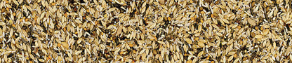 Manitoba Spinus & Spinus Siskin Bird 800G