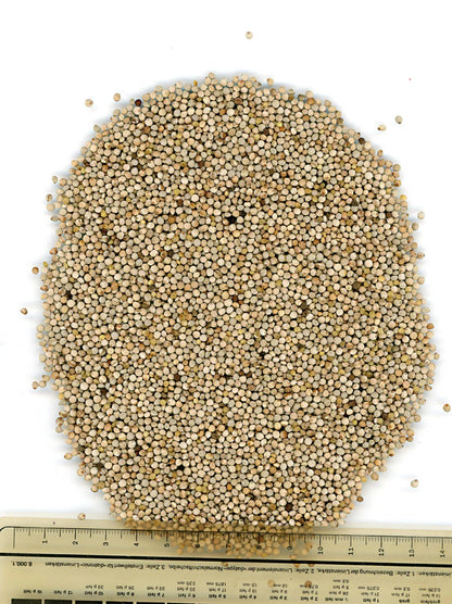 Manitoba White Perilla 1 Kg