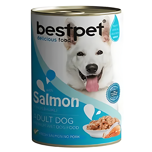 Bestpet Dog Salmon In Gravy 400g