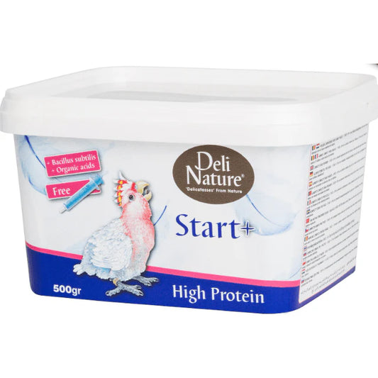 DN-Start+ High Protein (500g)