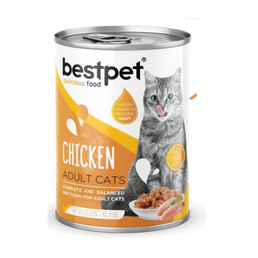 Bestpet Cat Chicken With Cheese In Gravy 400g