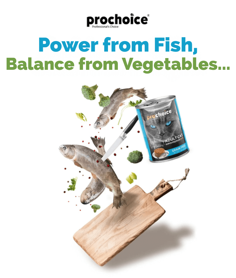 Prochoice Adult Cat Premium Pate With Fish & Vegetables 400g