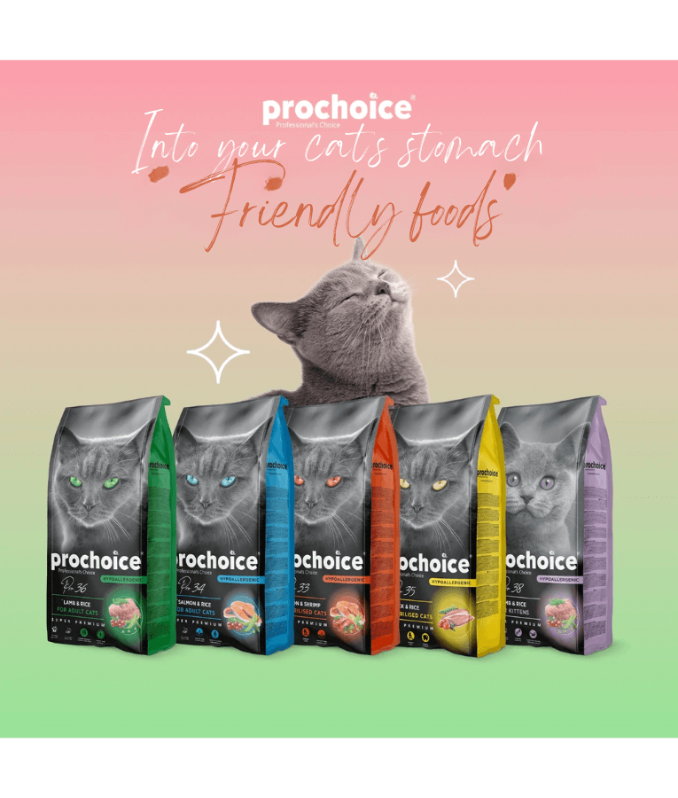 Prochoice Pro 37 Chicken & Rice Hypoallergenic For Kittens 2kg