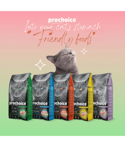 Prochoice Pro 37 Chicken & Rice Hypoallergenic For Kittens 2kg