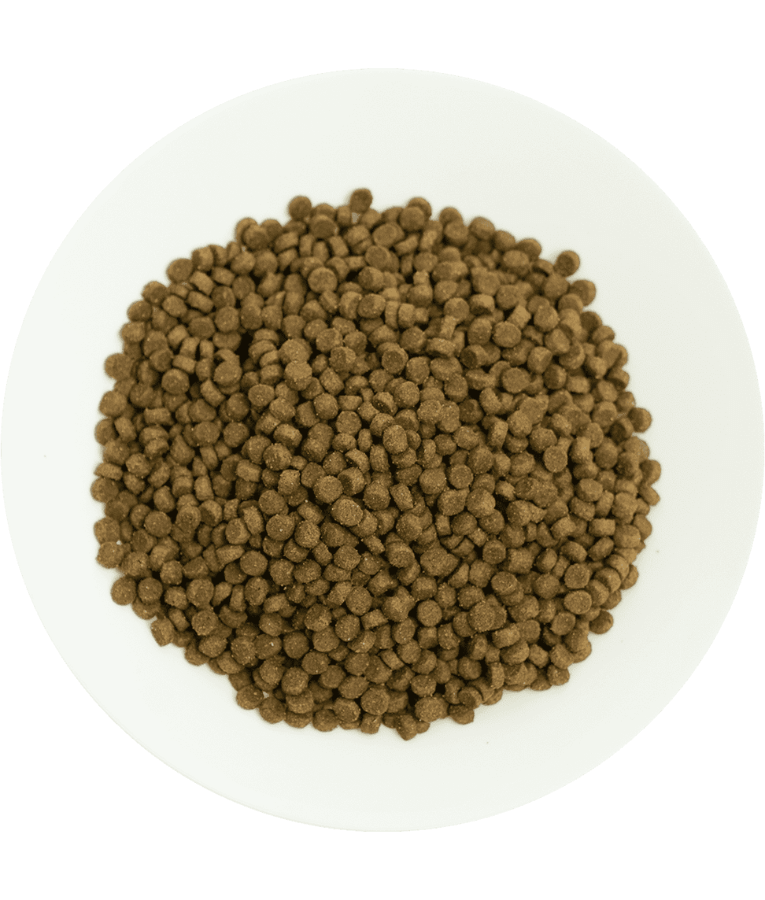 Prochoice Pro 38 Lamb & Rice Hypoallergenic For Kittens 2kg