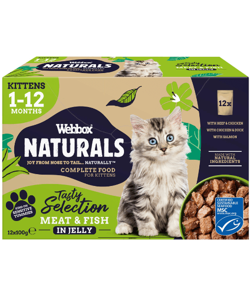 Webbox Natural Pouches, For Kittens 100G