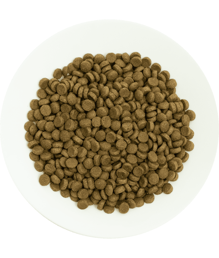 Prochoice Pro 36 Lamb & Rice Hypoallergenic For Adult Cats 2kg-15kg