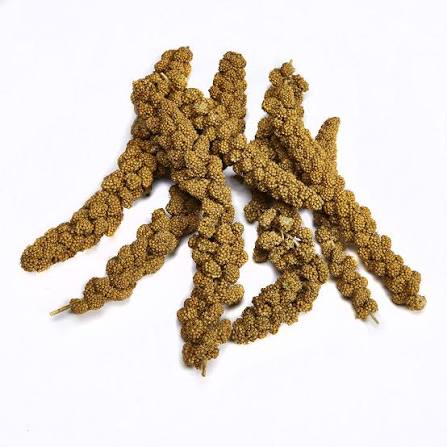 Bird Natural Food (Spray Millet) 500g