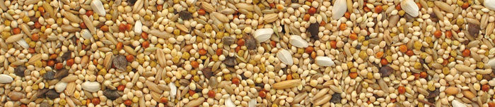 Manitoba Neophema Parakeets 3 kg bird food
