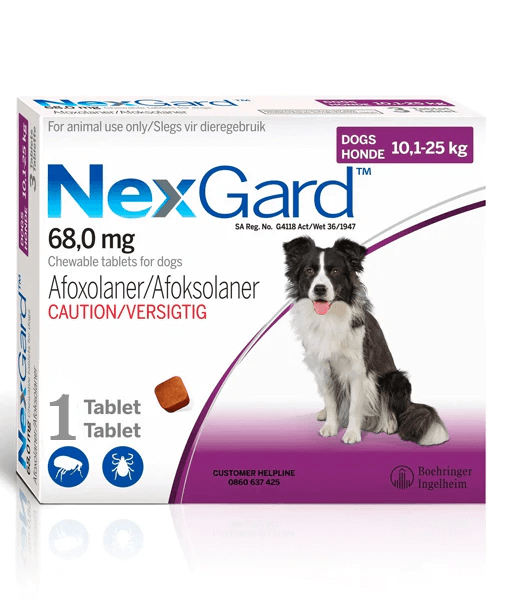 NexGard Afoxolaner dog tablet 10-25 kg