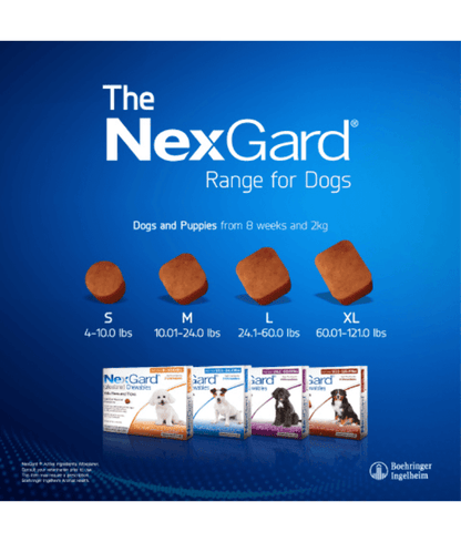 NexGard Afoxolaner dog tablet 2-4 kg