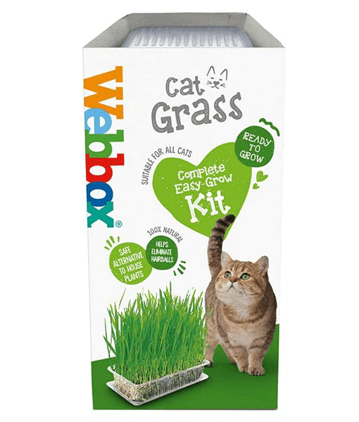 Webbox Cat Grass Kit 120G